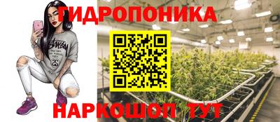 СК Кунгур