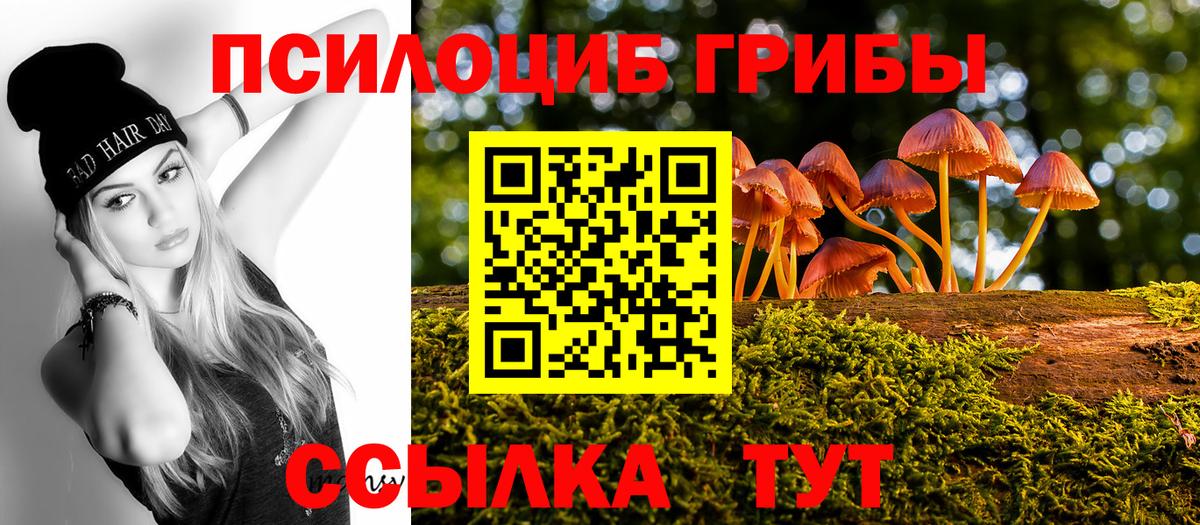 Псилоцибиновые грибы мицелий  Псилоцибиновые грибы Cubensis  Вход с VPN  цена наркотик  Йошкар-Ола 